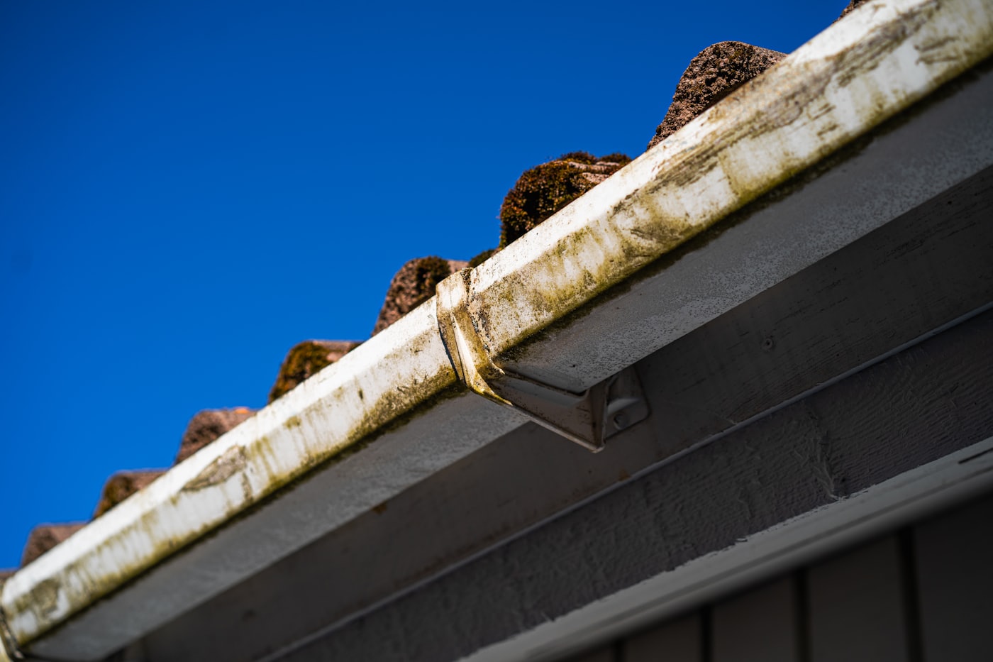 Debris-filled gutter along a rooftop
