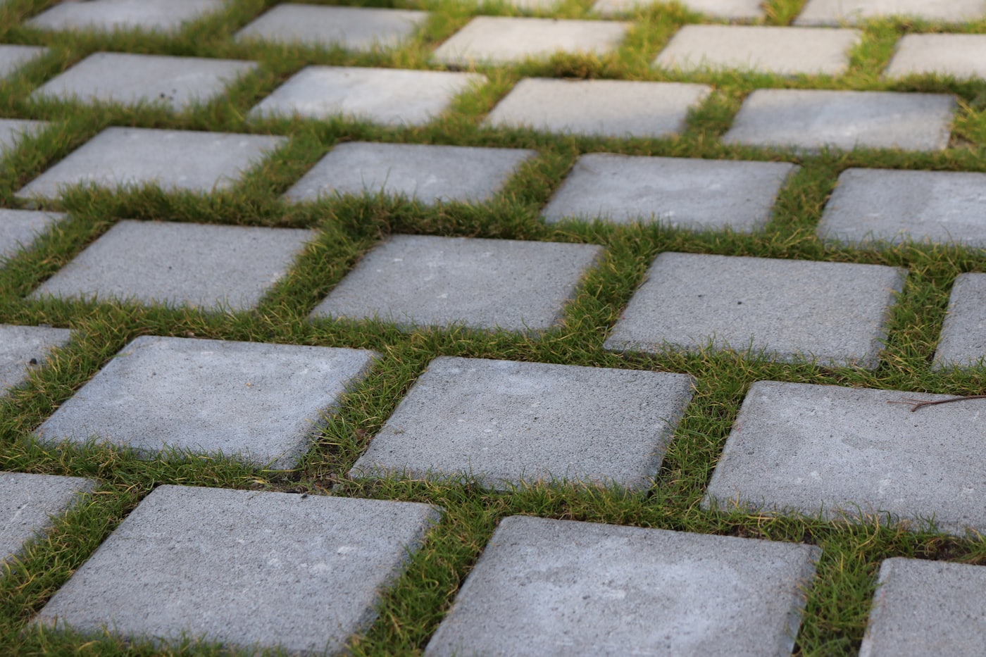 Paver joints on a stone patio