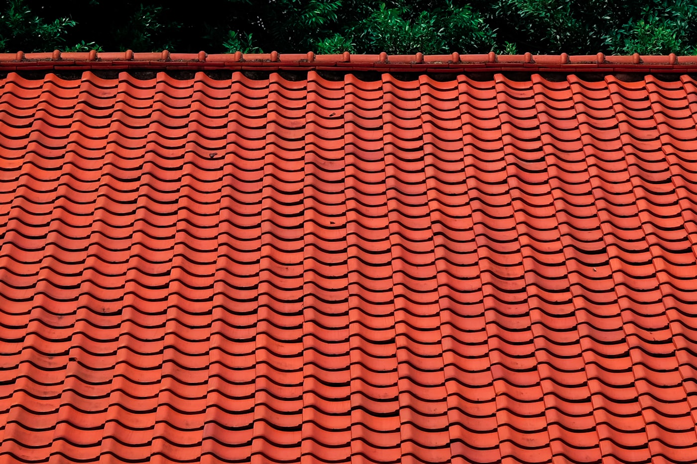 Clean terracotta tile roof
